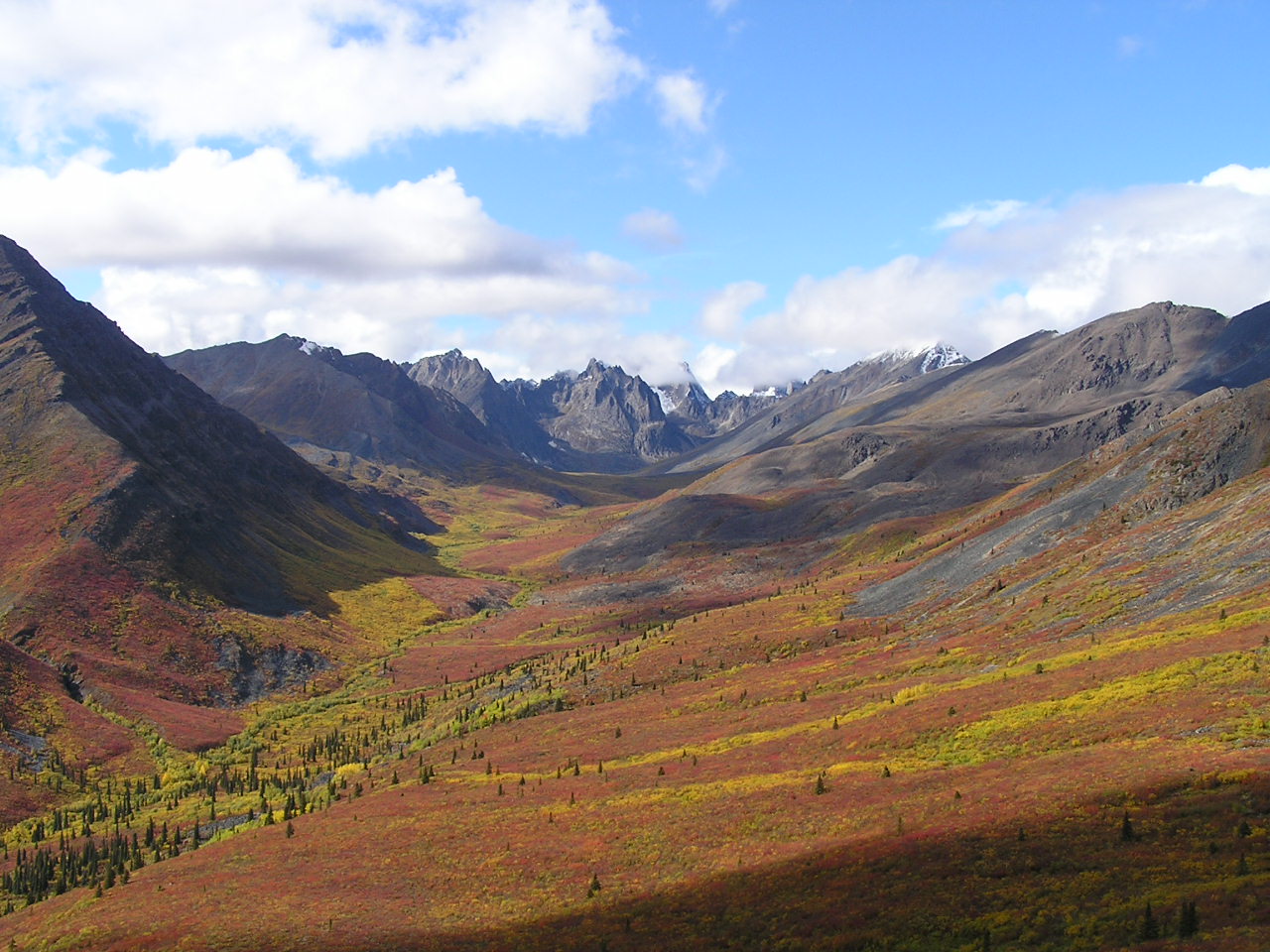 Yukon Hiking (5).JPG